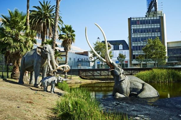 la brea tar pits