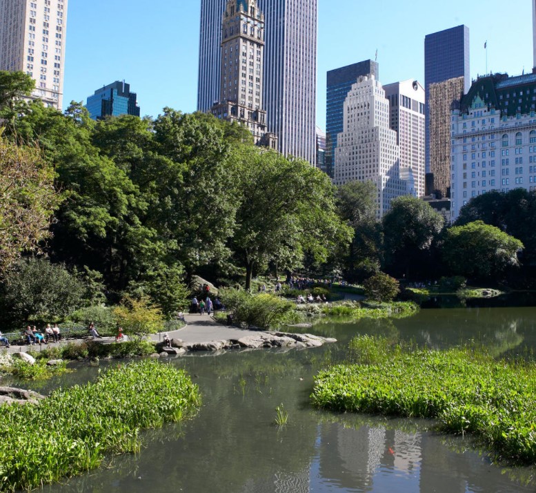 Cosa fare a New York durante vacanza studio