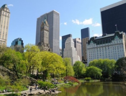 What to Do For Free on Your Study Holiday in New York City