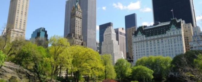 study holiday in new york