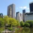 study holiday in new york