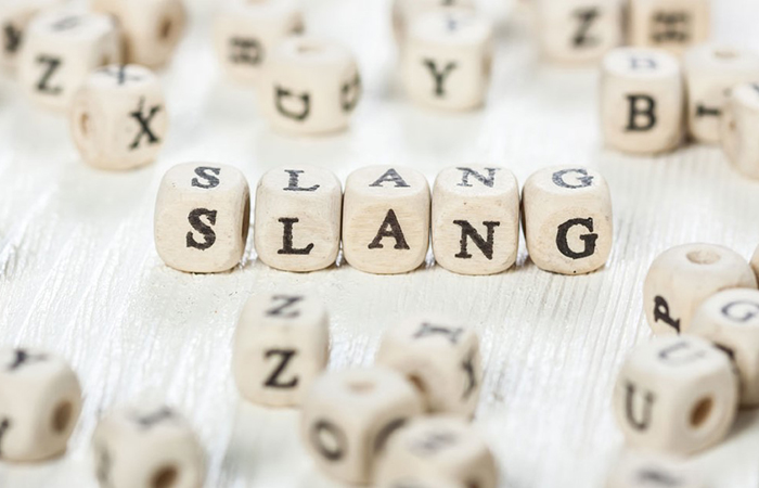 english slang study holiday