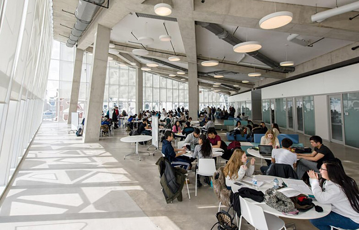campus vacanza studio
