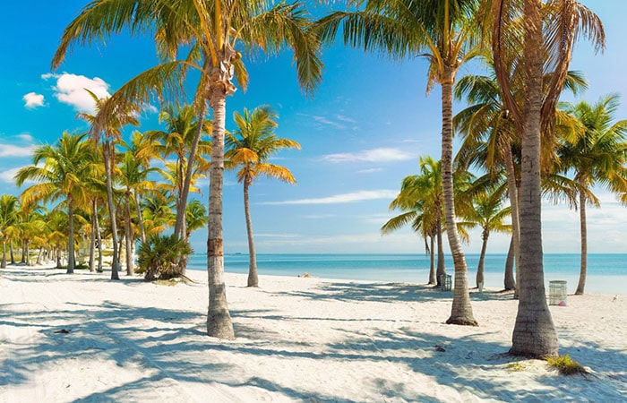 crandon park miami