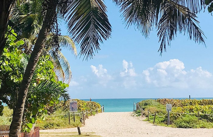 visit the beaches in Miami on a study holiday