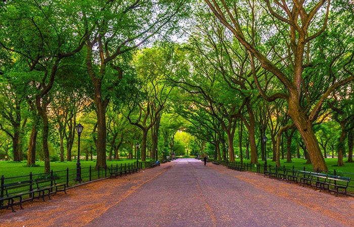 The Mall and Literary Walk in New York