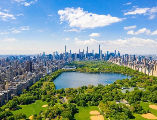 What to do in Central Park on your study trip to New York City!