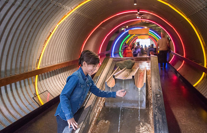 what to do in new york with children