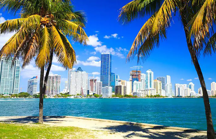 study holiday in miami