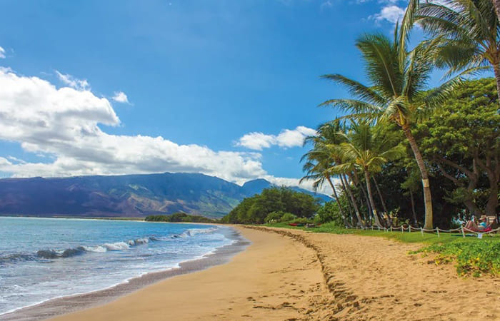 hawaiian beach facts
