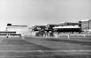 the evolution of cricket