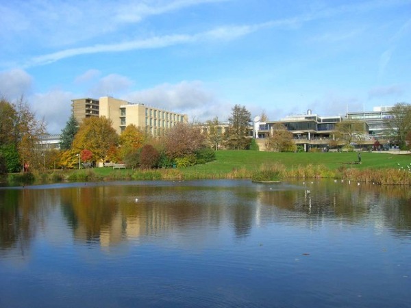 esperienza sportiva americana