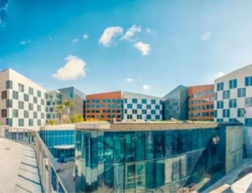 Study holiday in Miami: experiences you’ll never forget