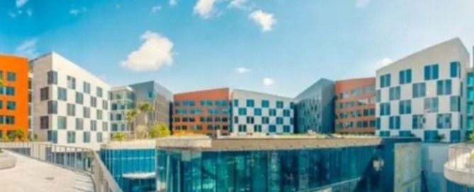 study holiday in miami