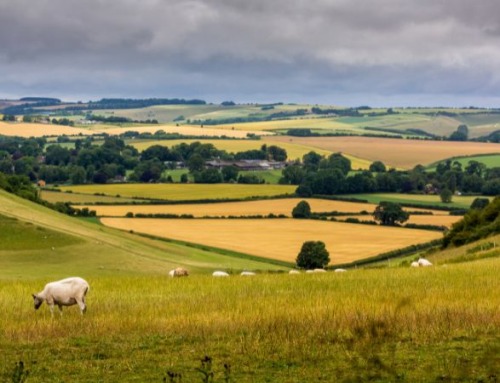 Why you should explore the beautiful county of Wiltshire on your study holiday in the UK!