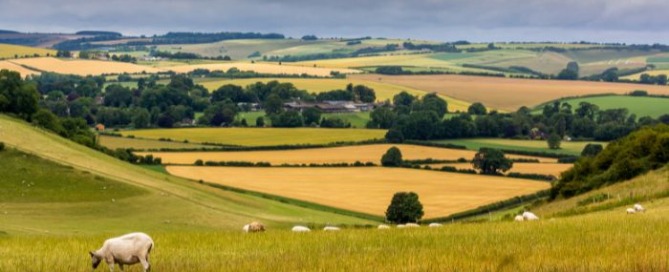 county Wiltshire