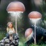 irish fairies