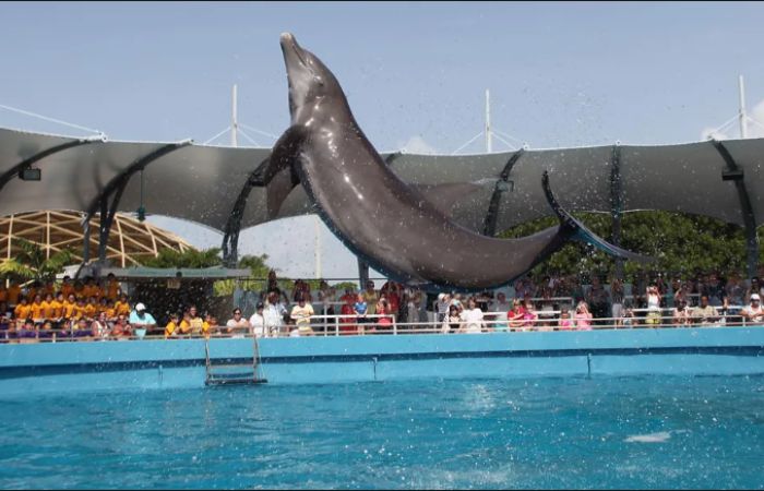 Miami Seaquarium