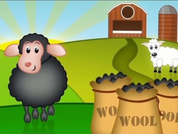 Baa baa black sheep