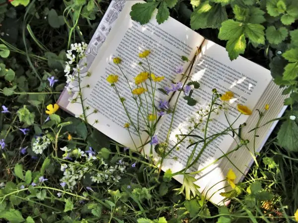 contemporary fiction