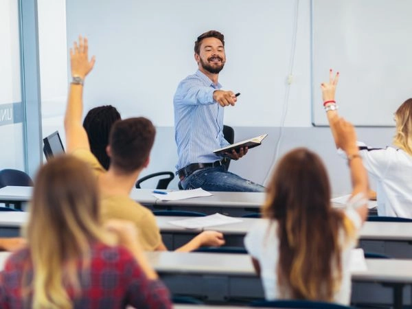 organise your study holiday