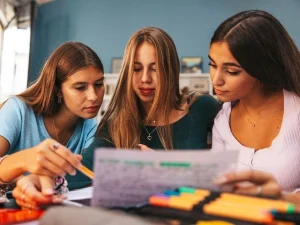 the role of emotions in learning a language