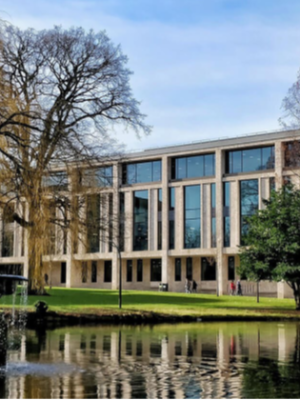 Roehampton-garden-1-rckhhqf1a8xgixbwqc844legtwyokm4a55wtyd6x7k