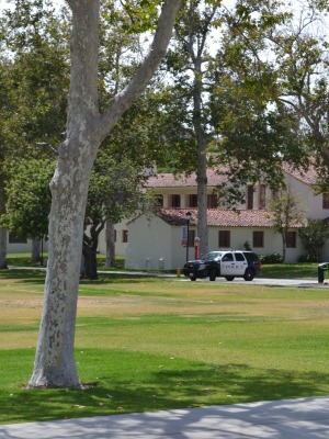 corso di lingue all'estero usa