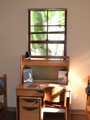vacanze studio all'estero