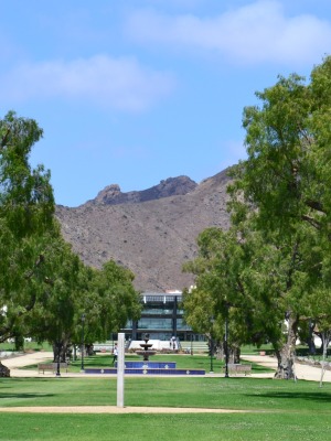 los-angeles-usa-vacanze-studio-astrolabio-gruppo (6)